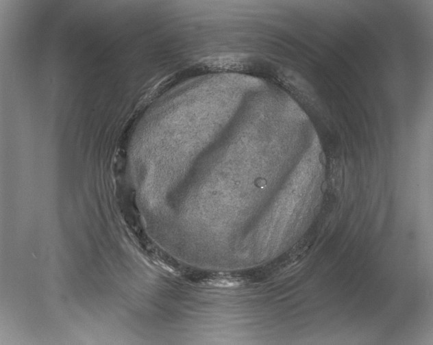 X0000080740259200701021154