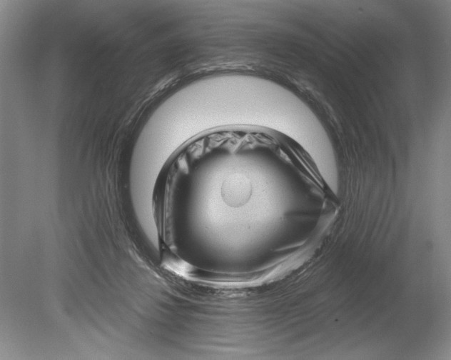 X0000080740260200701021154