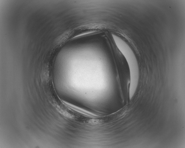 X0000080740261200701021154