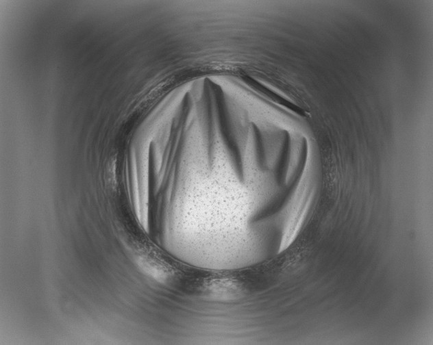 X0000080740262200701021154