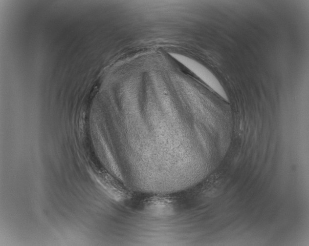 X0000080740263200701021154