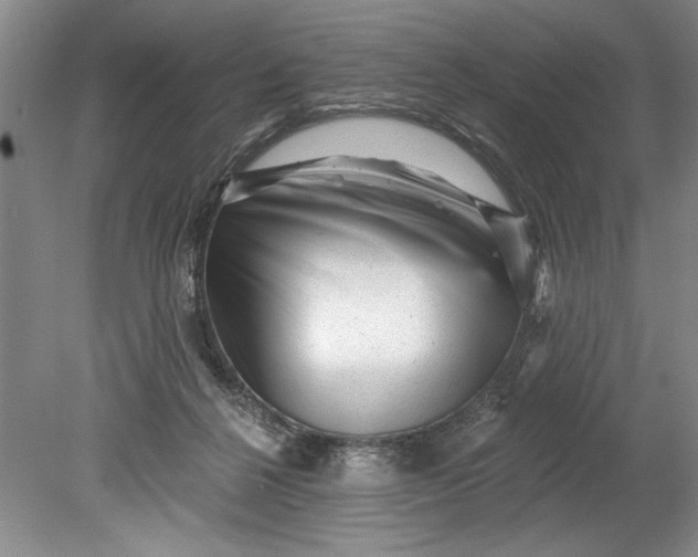 X0000080740264200701021154