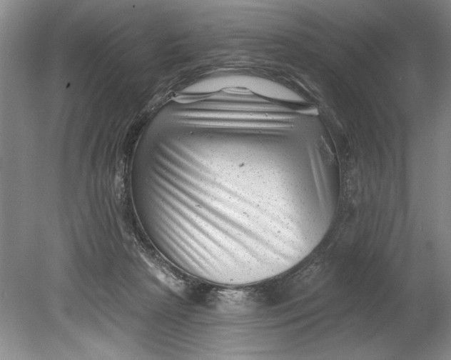 X0000080740265200701021154