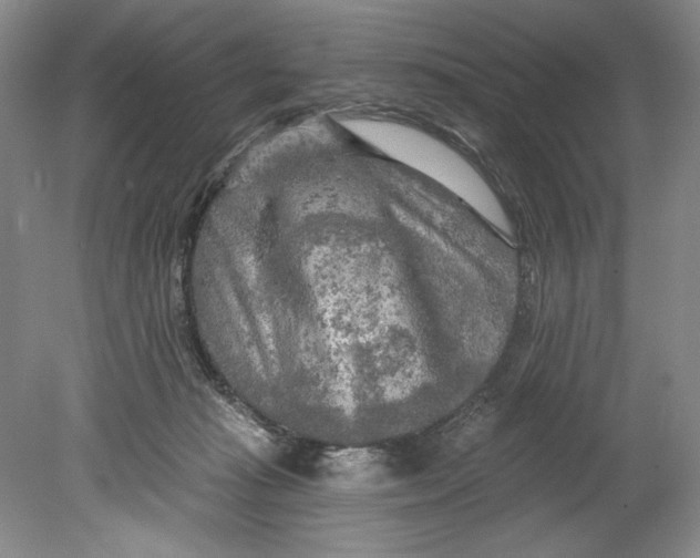 X0000080740269200701021154