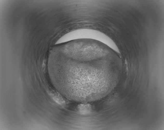 X0000080740271200701021154