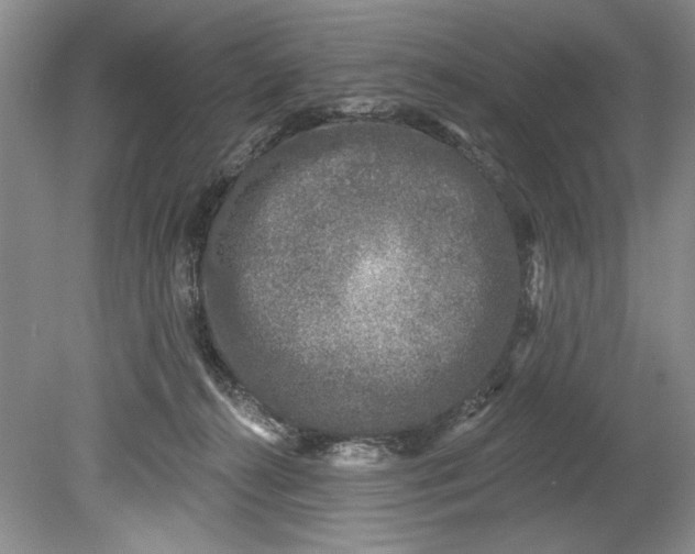 X0000080740272200701021154