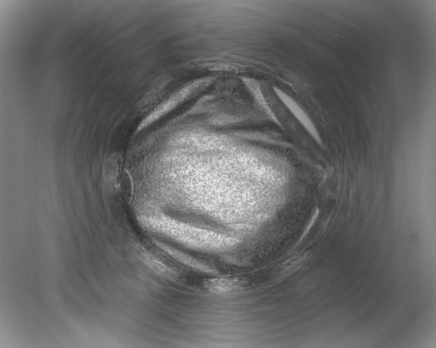 X0000080740273200701021154