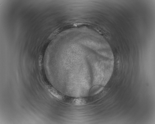 X0000080740275200701021154