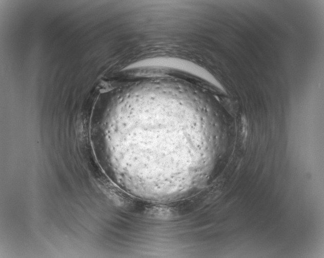 X0000080740276200701021154