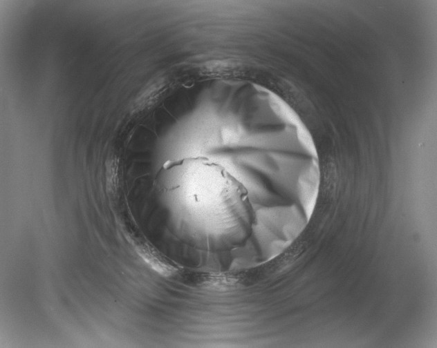 X0000080740278200701021154