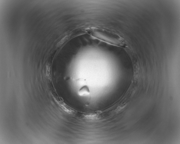 X0000080740281200701021154