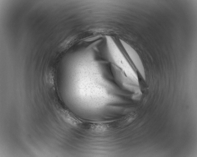 X0000080740282200701021154