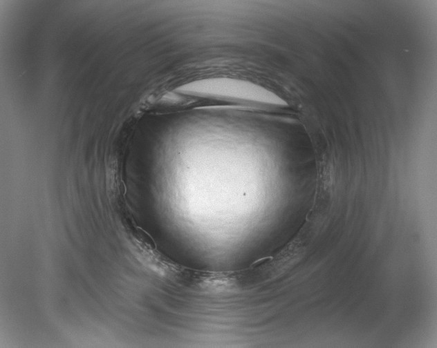 X0000080740283200701021154