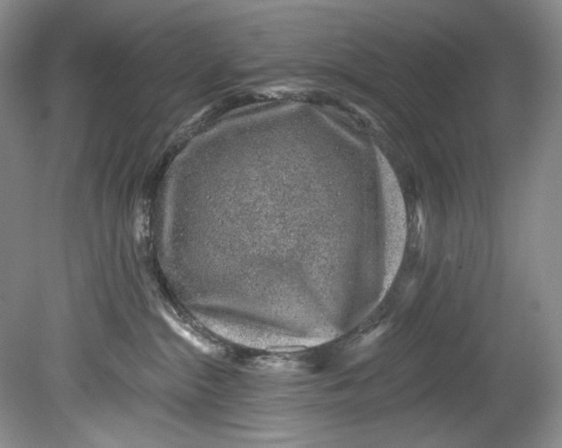 X0000080740284200701021155