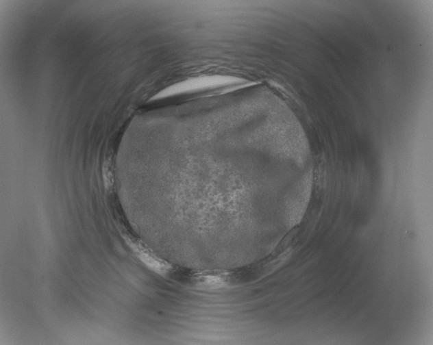 X0000080740285200701021155