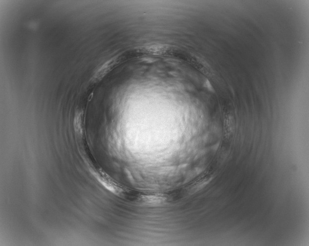 X0000080740286200701021155