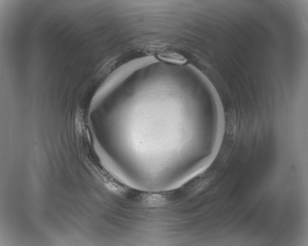 X0000080740287200701021155