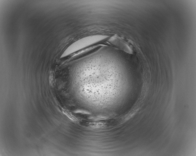 X0000080740288200701021155