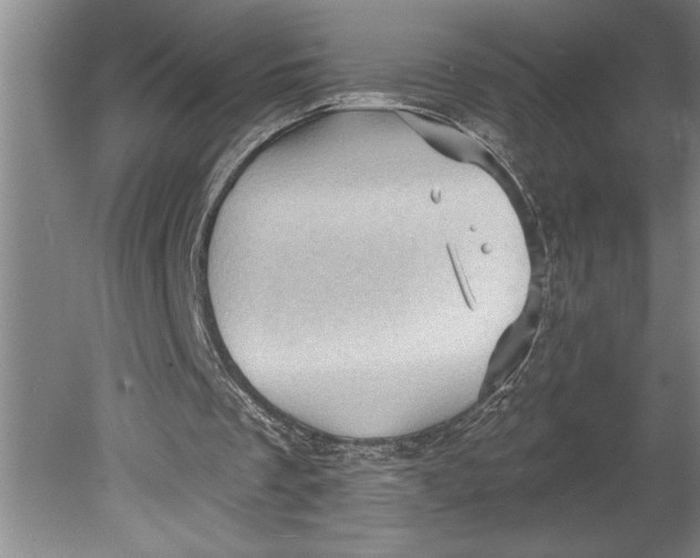 X0000080740289200701021154