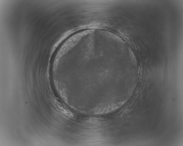 X0000080740292200701021154