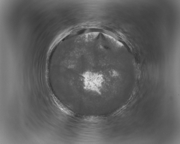 X0000080740293200701021154