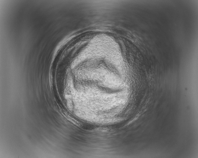 X0000080740294200701021154