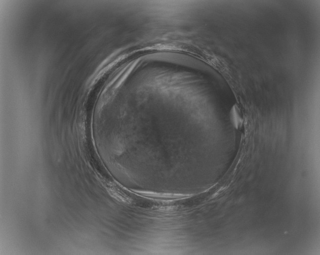 X0000080740295200701021154