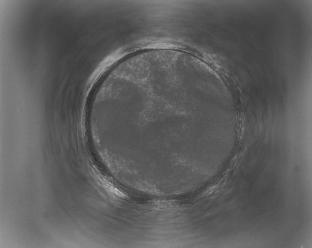 X0000080740296200701021154