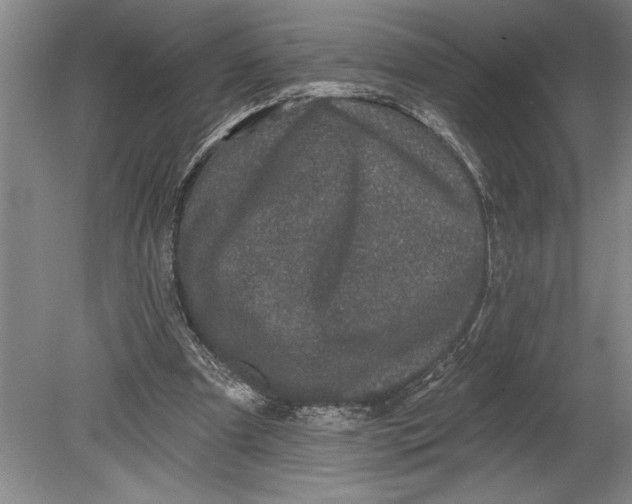 X0000080740297200701021154