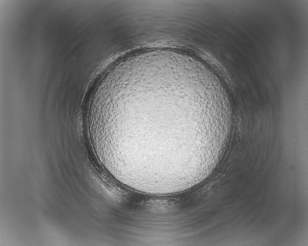 X0000080740298200701021154