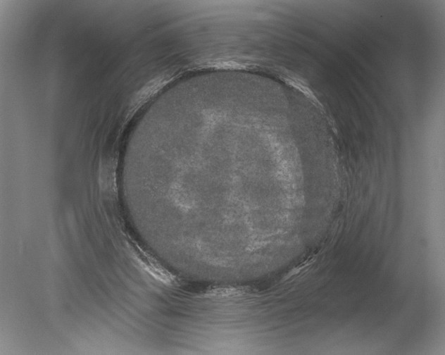 X0000080740299200701021154