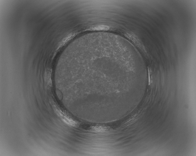 X0000080740300200701021154