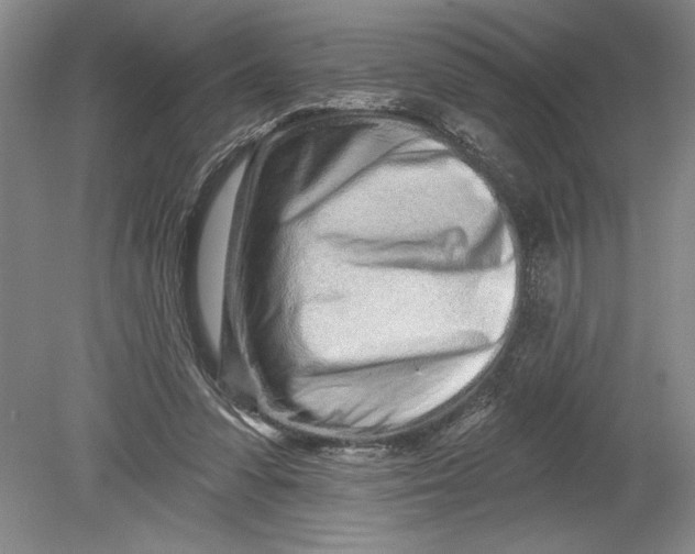 X0000080740303200701021154