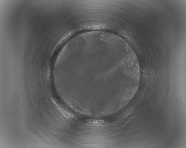 X0000080740304200701021154