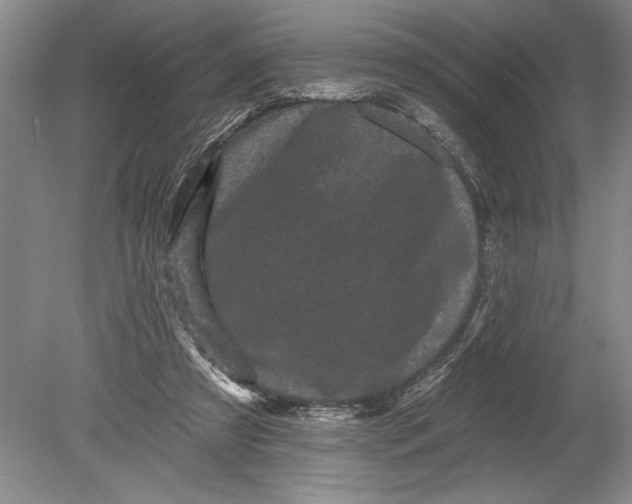 X0000080740305200701021153