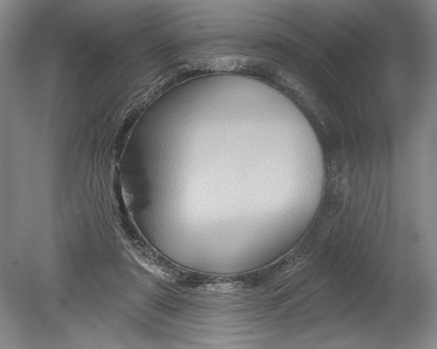 X0000080740307200701021153