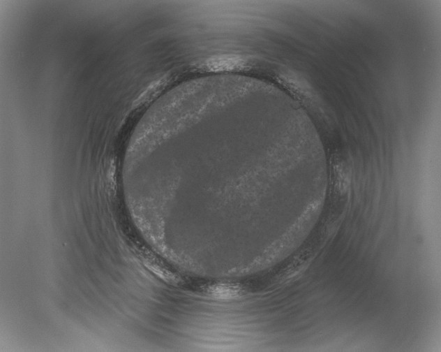 X0000080740308200701021153