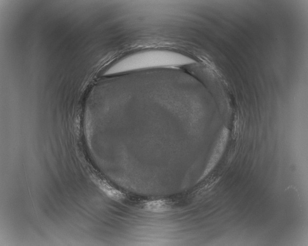 X0000080740309200701021153