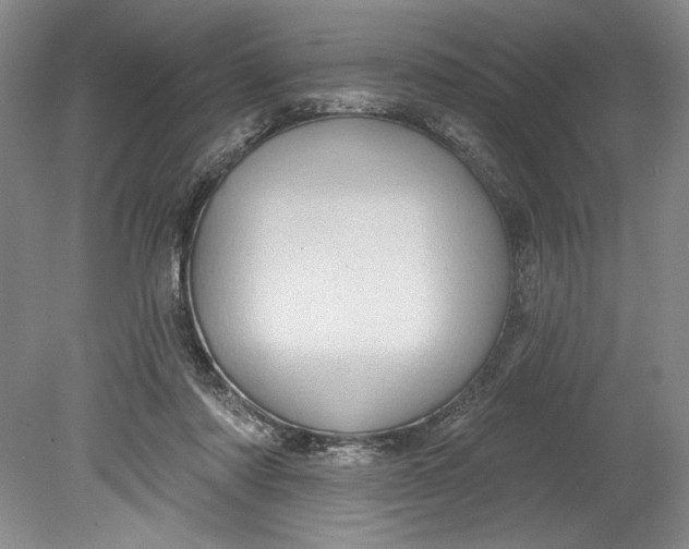 X0000080740310200701021153