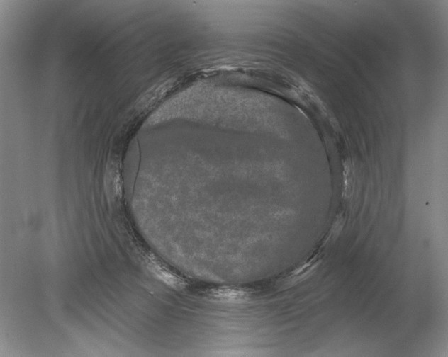 X0000080740313200701021153