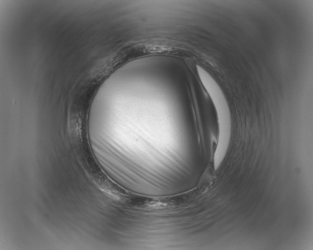 X0000080740315200701021153