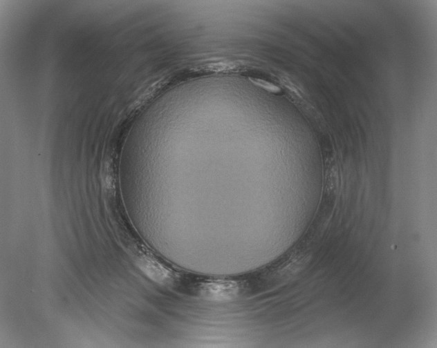 X0000080740317200701021153