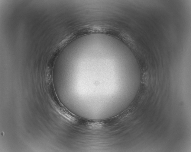 X0000080740318200701021153