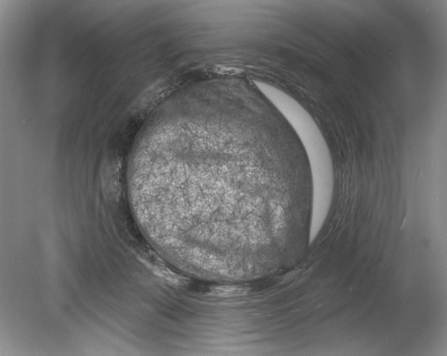 X0000080740319200701021153