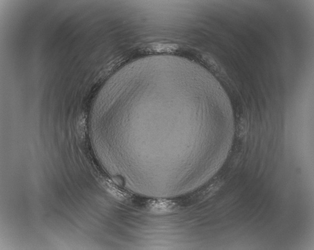 X0000080740321200701021153