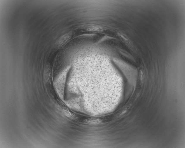 X0000080740322200701021153