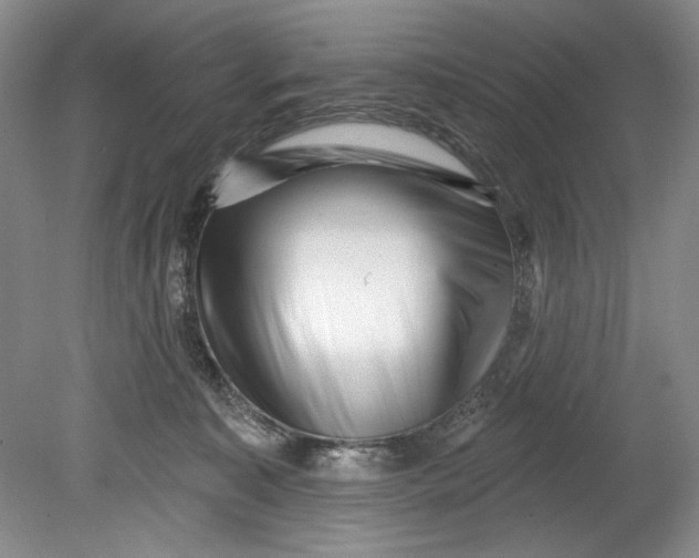 X0000080740323200701021153