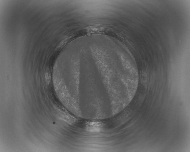 X0000080740324200701021153