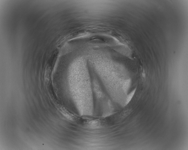 X0000080740325200701021153