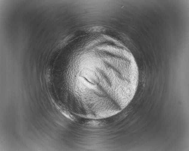 X0000080740326200701021153